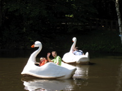 Swan Boats with Daddy